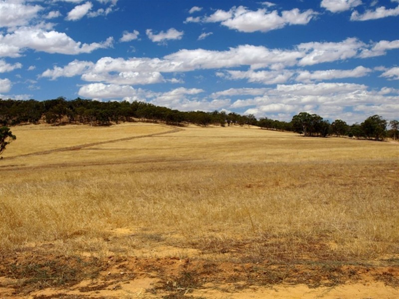 100 to 136 Balgaling Road, Toodyay WA 6566