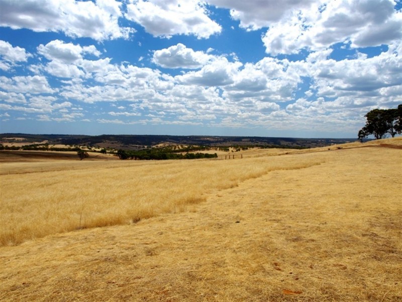 100 to 136 Balgaling Road, Toodyay WA 6566