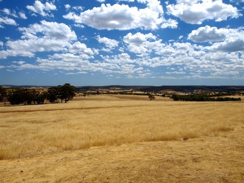 100 to 136 Balgaling Road, Toodyay WA 6566