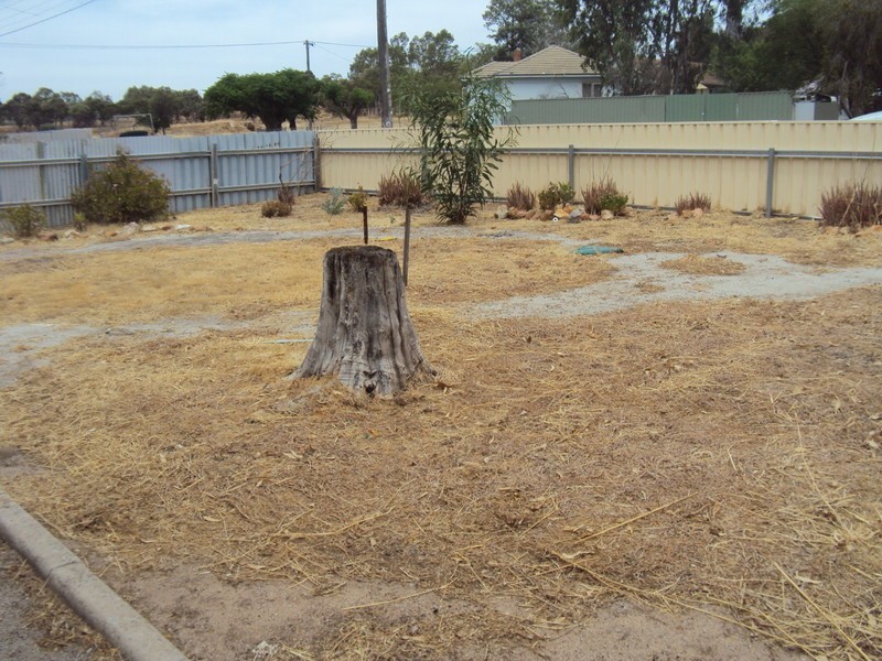 3 Yalbaroo Road, Northam WA 6401