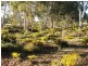 962 Bindoon Dewars Pool Road, Toodyay WA 6566