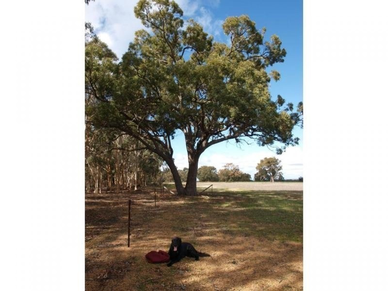 962 Bindoon Dewars Pool Road, Toodyay WA 6566