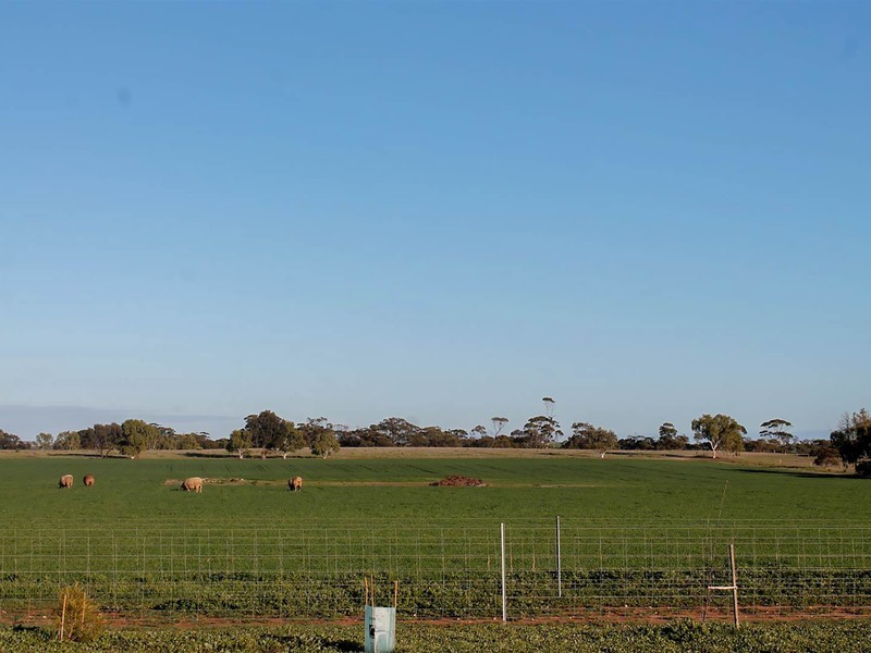 148 Rifle Range Road, Ucarty, Dowerin WA 6461