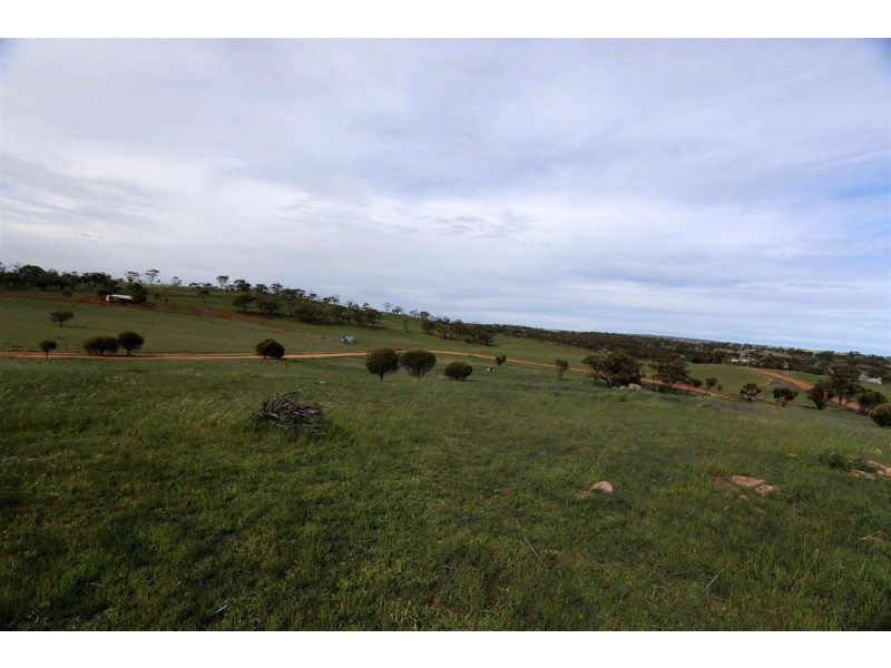 82 Seventh Road, Toodyay WA 6566