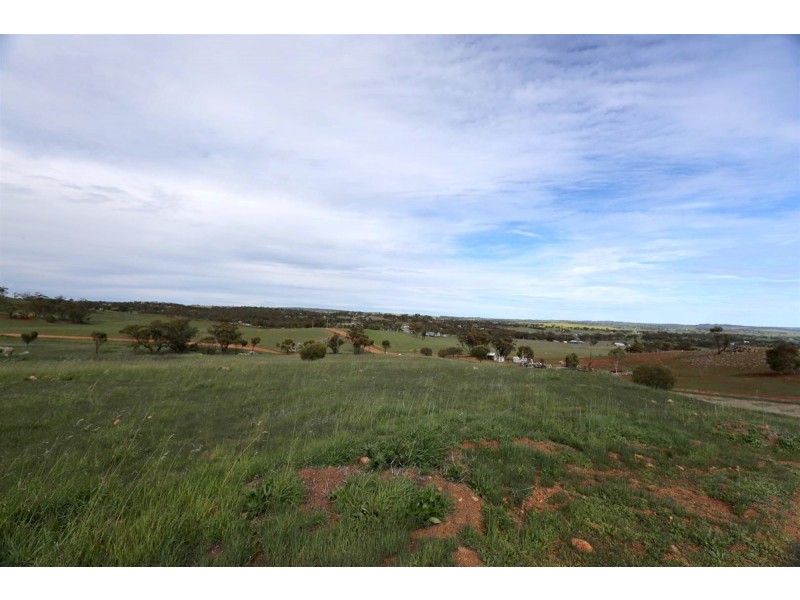 82 Seventh Road, Toodyay WA 6566