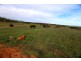 82 Seventh Road, Toodyay WA 6566