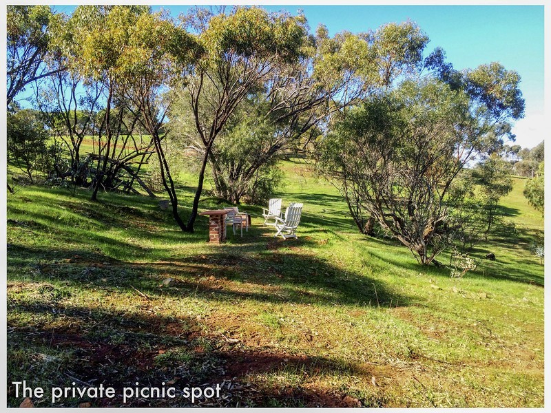 264 Timber Creek Crescent, Toodyay WA 6566