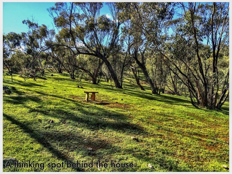 264 Timber Creek Crescent, Toodyay WA 6566