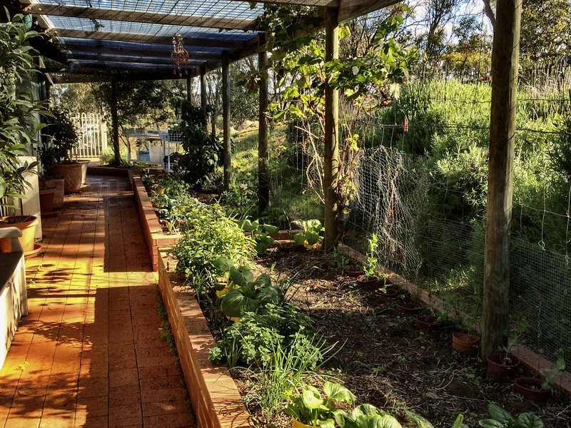 264 Timber Creek Crescent, Toodyay WA 6566