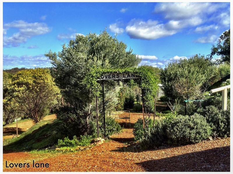 264 Timber Creek Crescent, Toodyay WA 6566