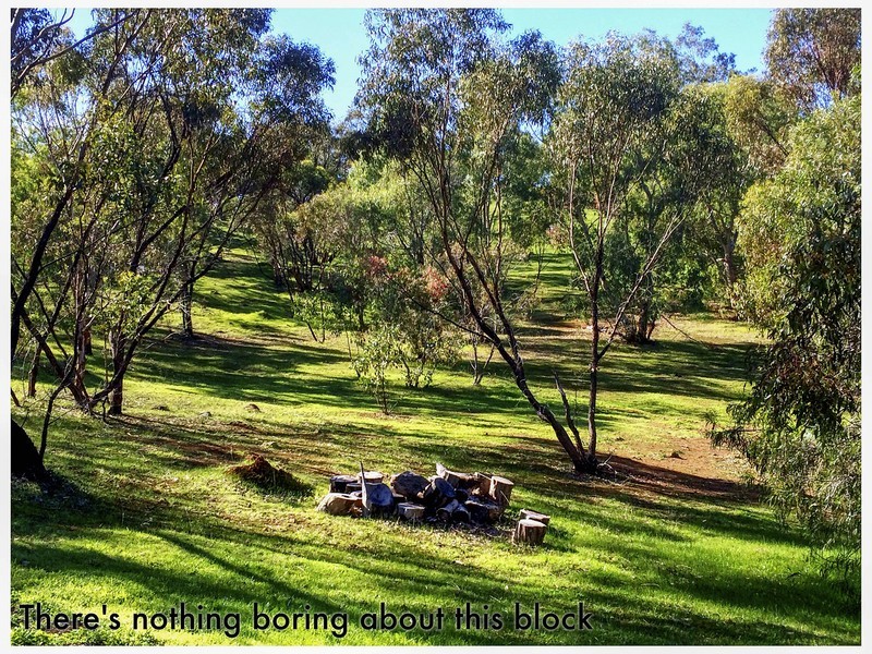 264 Timber Creek Crescent, Toodyay WA 6566