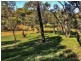 264 Timber Creek Crescent, Toodyay WA 6566