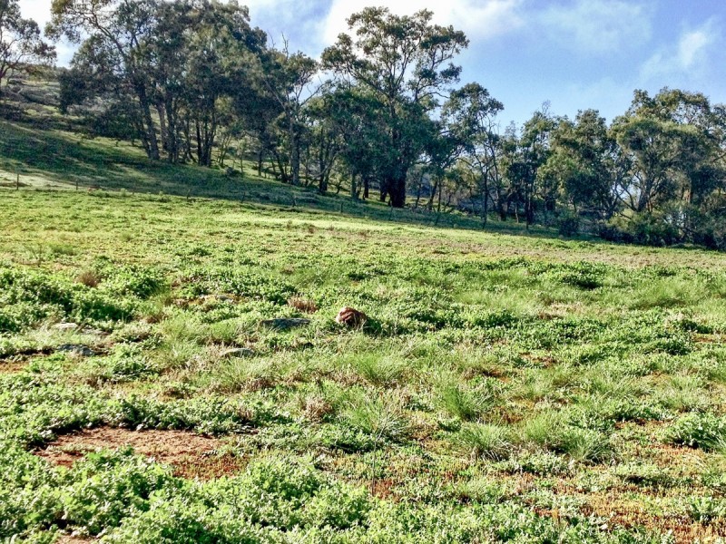 86 Mount Anderson Street, Toodyay WA 6566