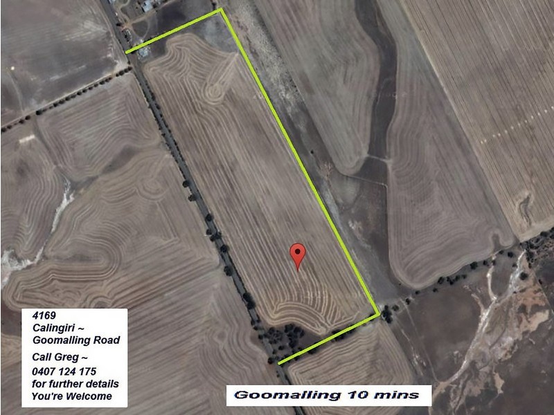 Lot 60 Calingiri-Goomalling Road, Karranadgin WA 6460