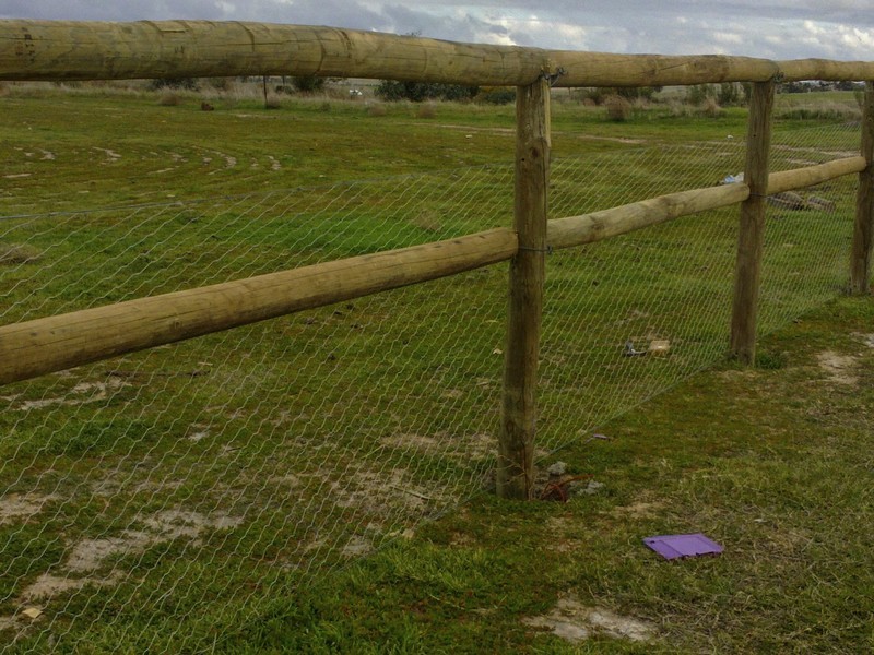 Lot 60 Calingiri-Goomalling Road, Karranadgin WA 6460