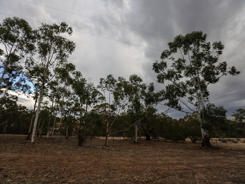 10 Clackline-Toodyay Road, Hoddys Well, Toodyay WA 6566