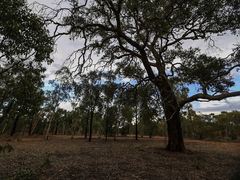 10 Clackline-Toodyay Road, Hoddys Well, Toodyay WA 6566
