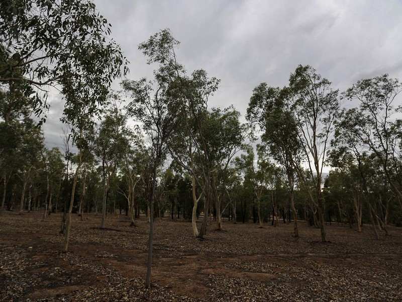 10 Clackline-Toodyay Road, Hoddys Well, Toodyay WA 6566