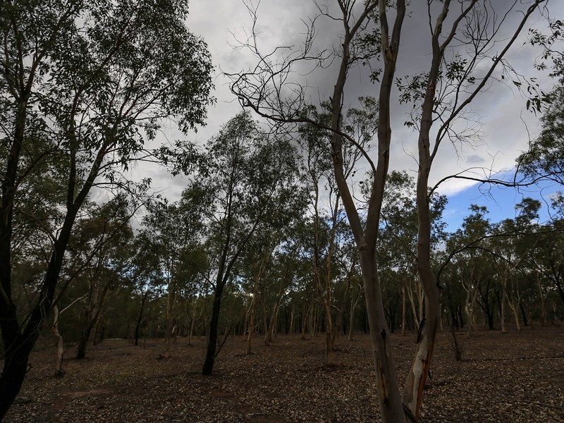 10 Clackline-Toodyay Road, Hoddys Well, Toodyay WA 6566