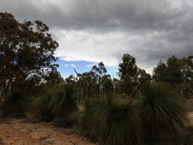 10 Clackline-Toodyay Road, Hoddys Well, Toodyay WA 6566