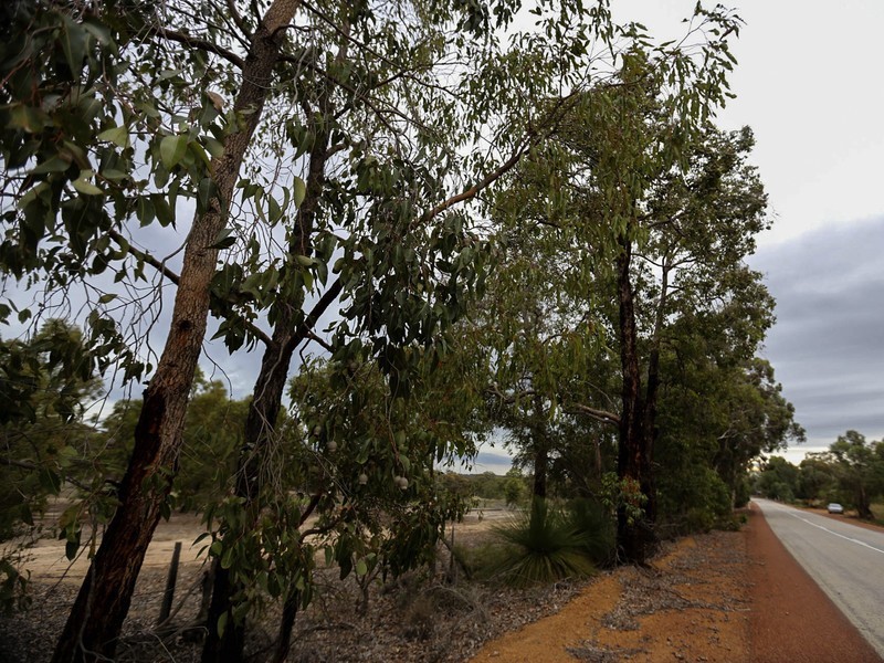 10 Clackline-Toodyay Road, Hoddys Well, Toodyay WA 6566