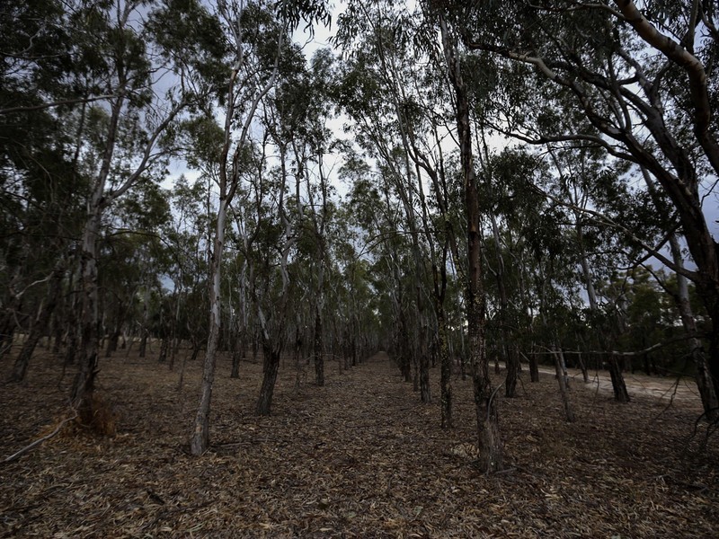 10 Clackline-Toodyay Road, Hoddys Well, Toodyay WA 6566