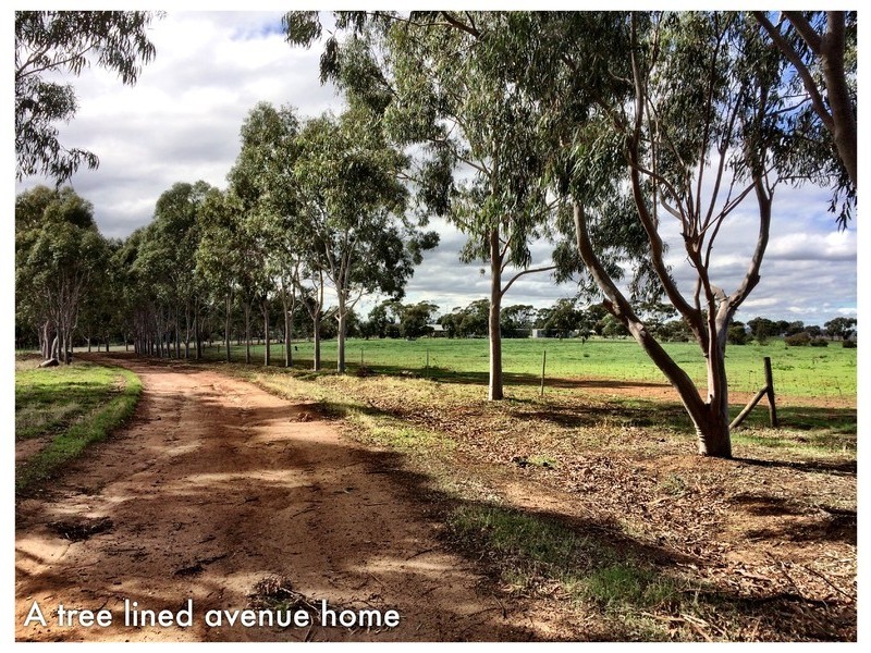 1779 Bejoording Road, Toodyay WA 6566