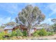 9 Hamersley Street, Toodyay WA 6566