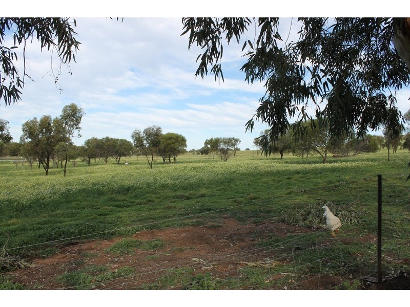 141 Newcastle Road, Northam WA 6401