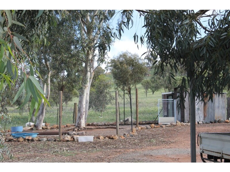 141 Newcastle Road, Northam WA 6401