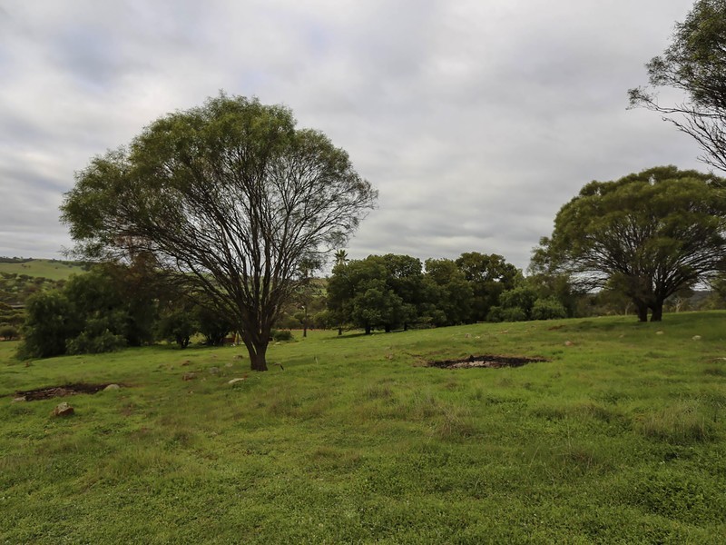 53/(next to 179 Julimar Road, Toodyay WA 6566