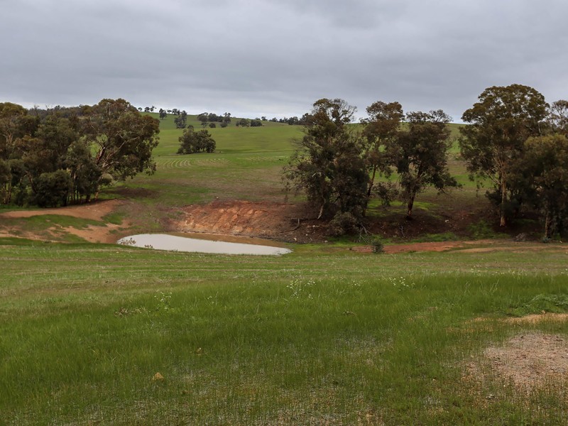 1075 Julimar Road, Toodyay WA 6566