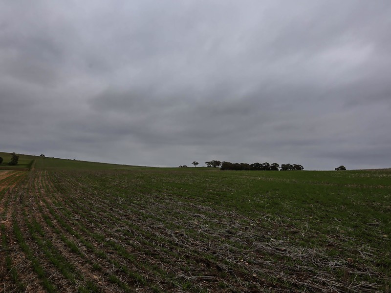 1075 Julimar Road, Toodyay WA 6566