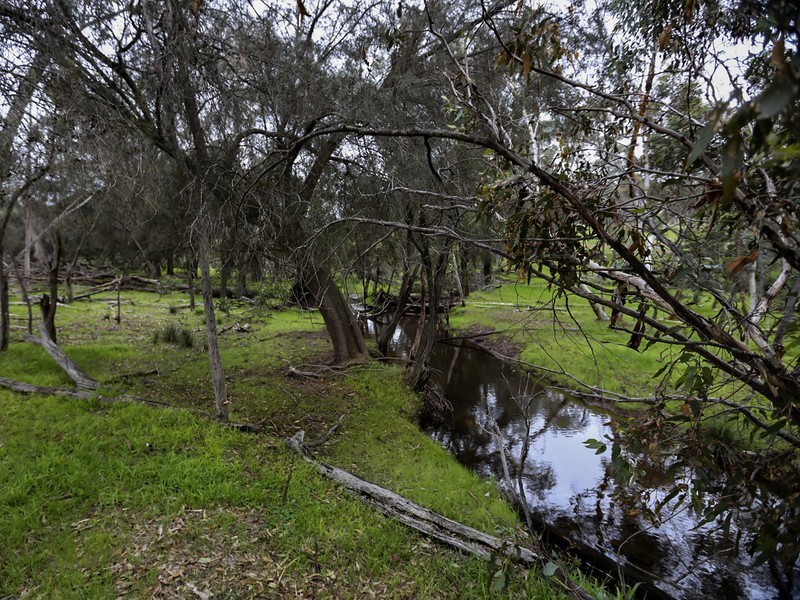 1075 Julimar Road, Toodyay WA 6566