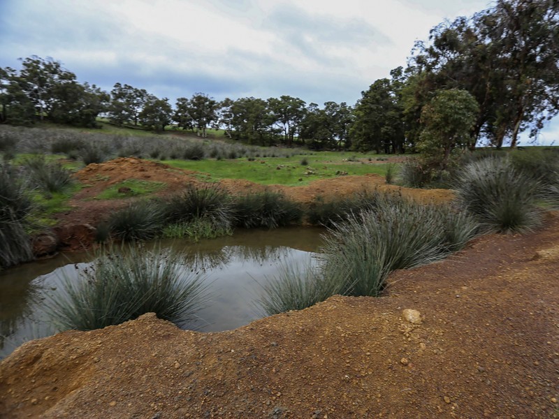 1075 Julimar Road, Toodyay WA 6566