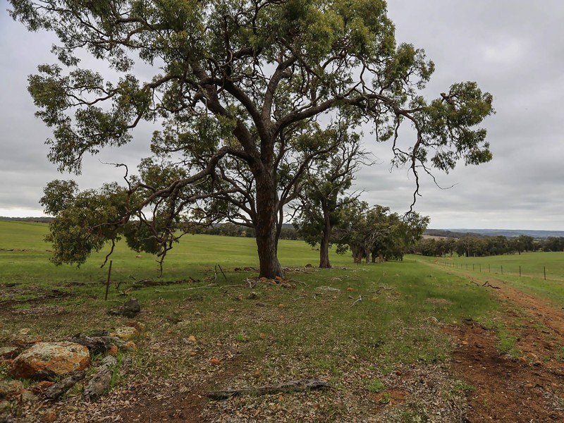 1075 Julimar Road, Toodyay WA 6566