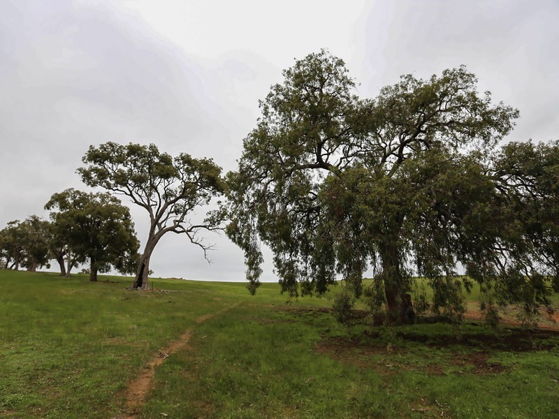 1075 Julimar Road, Toodyay WA 6566