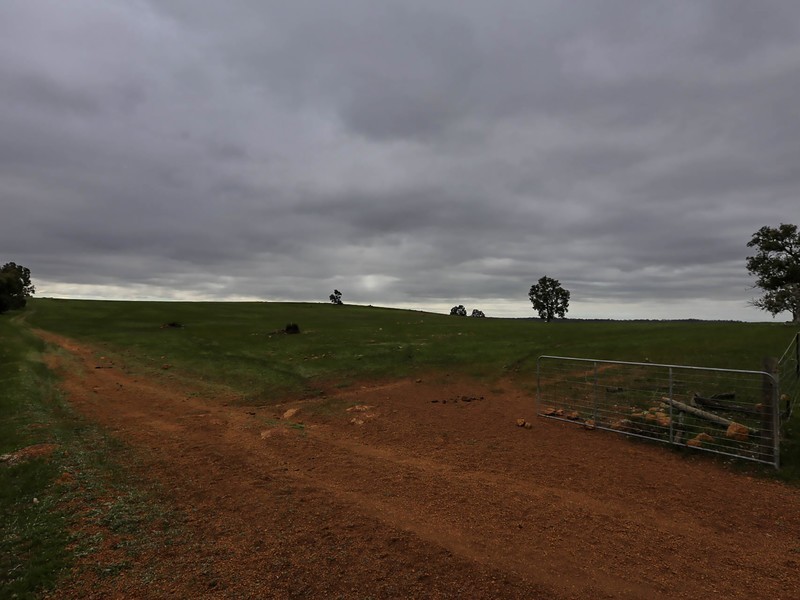 1075 Julimar Road, Toodyay WA 6566