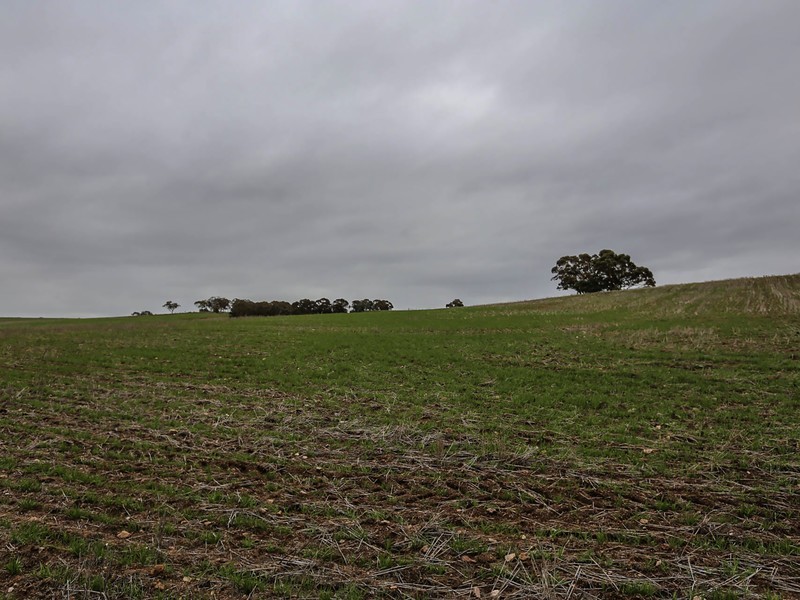 1075 Julimar Road, Toodyay WA 6566