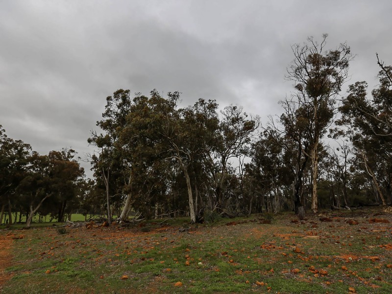 1075 Julimar Road, Toodyay WA 6566