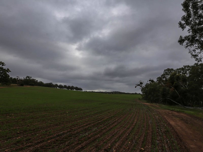 1075 Julimar Road, Toodyay WA 6566