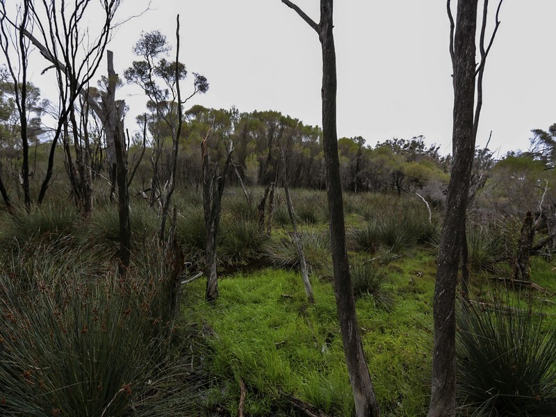 1075 Julimar Road, Toodyay WA 6566