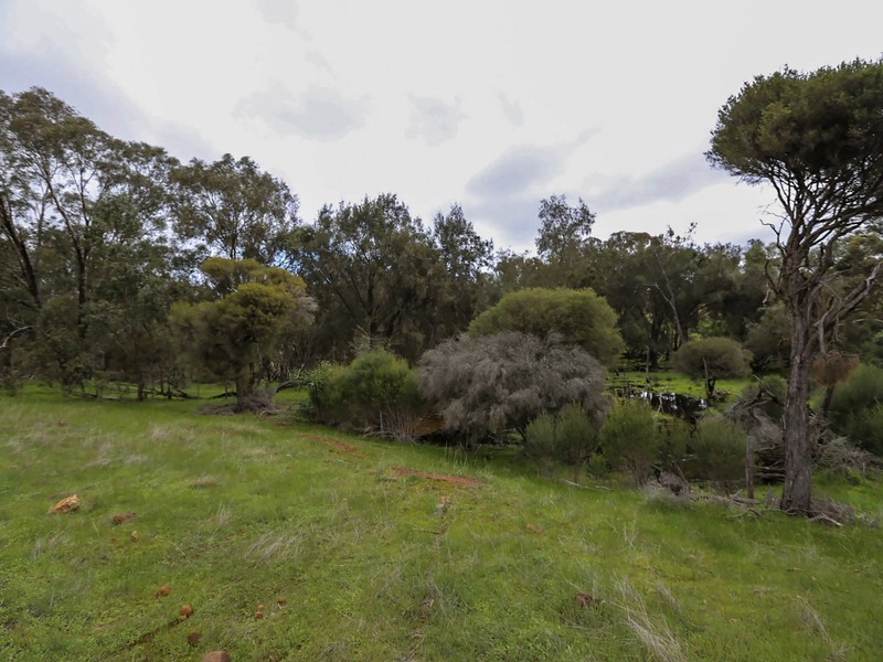 1075 Julimar Road, Toodyay WA 6566
