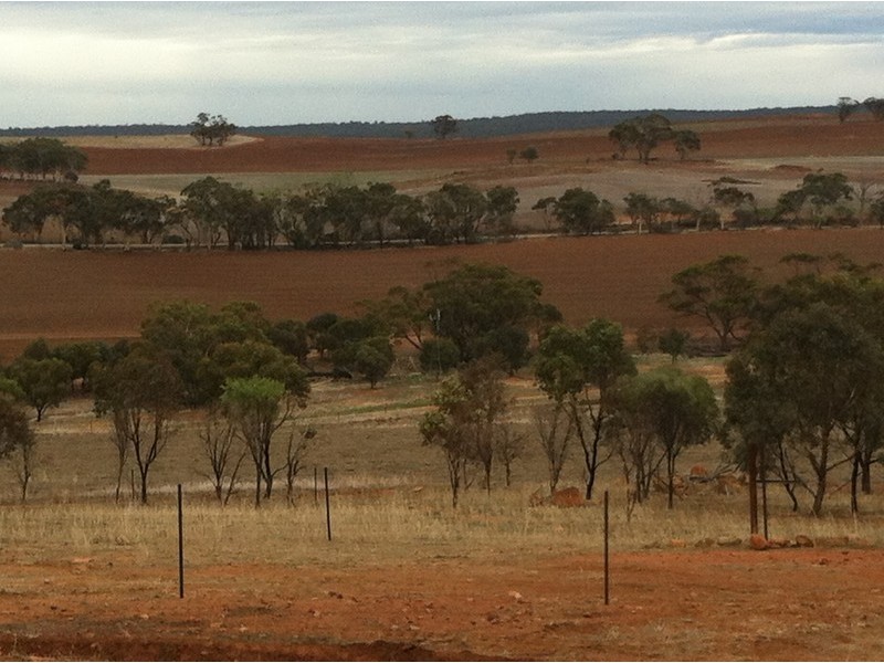 1366A Haddrill Road, Northam WA 6401