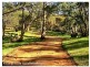 165 Horseshoe Road, Toodyay WA 6566