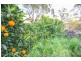 6298 Toodyay Road, Toodyay WA 6566