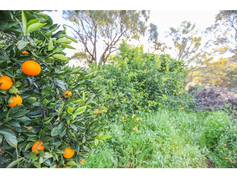 6298 Toodyay Road, Toodyay WA 6566