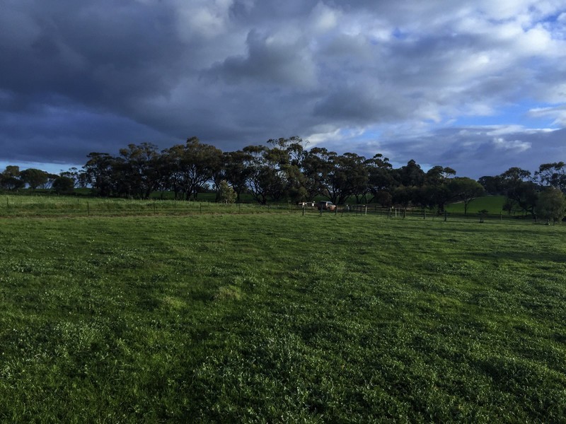 57 One Man Road, Toodyay WA 6566