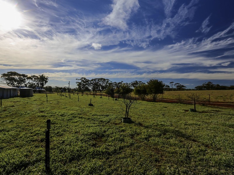 57 One Man Road, Toodyay WA 6566
