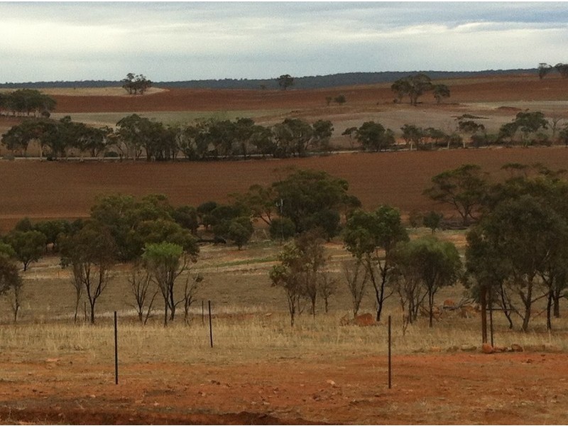 1366A Haddrill Road, Northam WA 6401